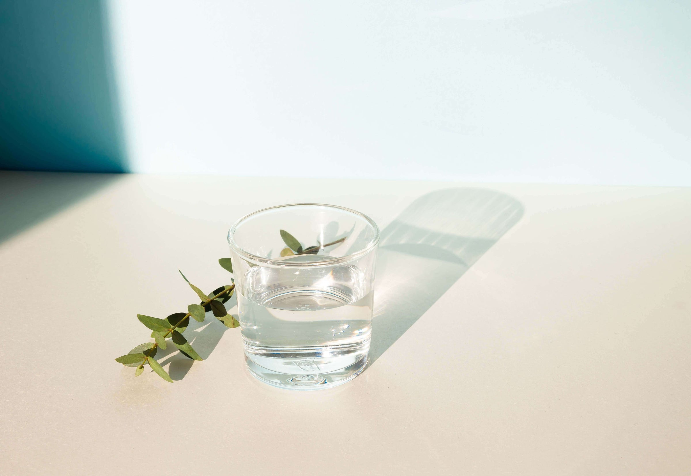 Verre d'eau bioréactivante avec une feuille verte posée à côté 